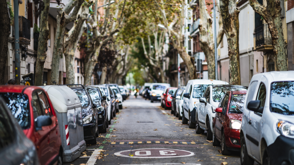 Several cars parked in the shade of a large tree on a sunny day